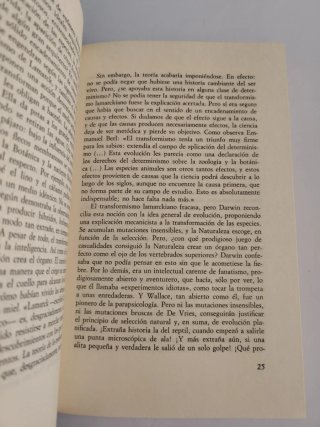 La Rebelión de los brujos