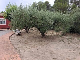 Casita de campo con agua y luz