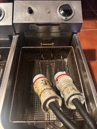 Freidora Profesional Doble Eléctrica 8+8L