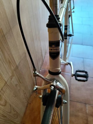 Bicicleta Urbana Blanca
