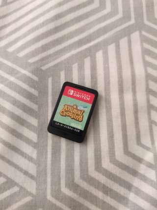 Animal Crossing New Horizons Nintendo Switch
