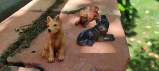 Colección de 3 Perritos