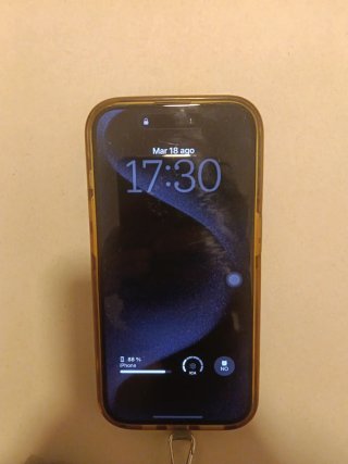 iPhone 15 Pro Gris/Plata