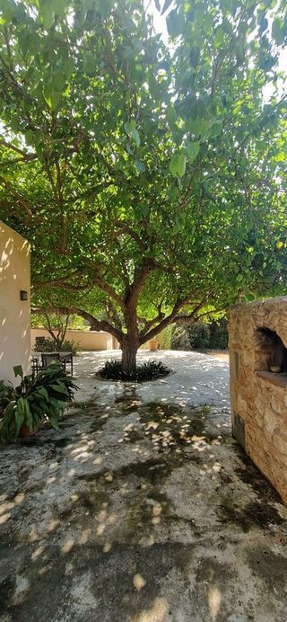 Casa rural en alquiler en Manacor Centro en Manacor