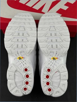 Nike Air Max Plus TN Blancas Talla 41