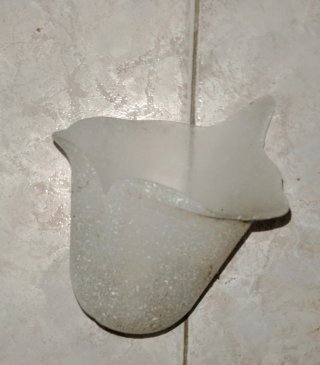 Coppia applique floreale vetro opalino