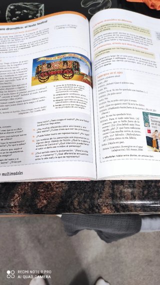 Lengua castellana y literatura