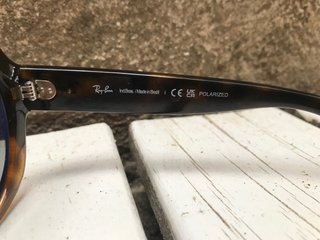 Gafas de Sol Ray-Ban RB4191 Polarizadas