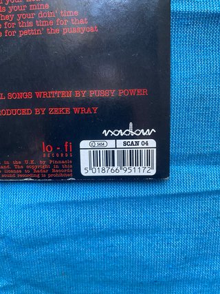 Pussy Power Theme Over You 7" 1995 Punk Rock