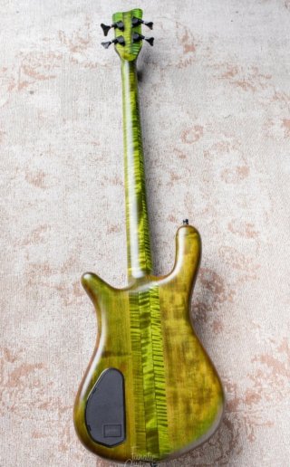 Warwick Streamer Stage I Ed. Limitada