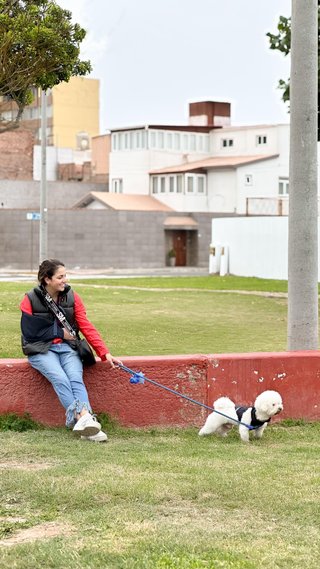 Paseo y cuidado de perros