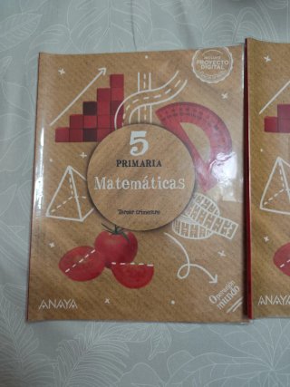Matemáticas 4 Primaria