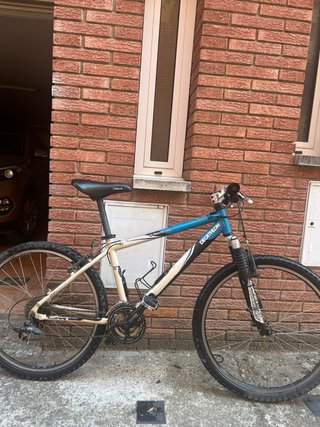 Bicicleta de Montaña