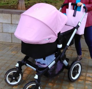 Carrito Bugaboo Buffalo Rosa