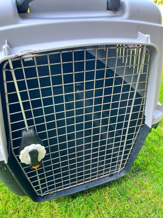 Transportín grande para perro