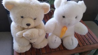 Lote de peluches: ositos y perrito,cada uno 5 euro