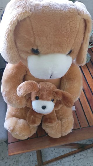 Lote de peluches: ositos y perrito,cada uno 5 euro