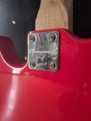 Guitarra Eléctrica