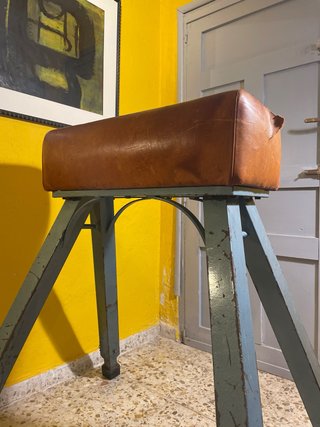 Potro Gimnasia Vintage Cuero y Hierro