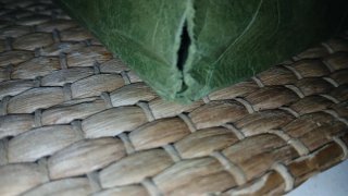 Bolsa de papel Gucci verde y negra