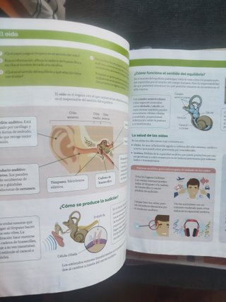 BIOLOGIA Y GEOLOGIA C-LEON 3 ESO CONSTRUYENDO M...
