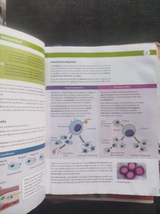 BIOLOGIA Y GEOLOGIA C-LEON 3 ESO CONSTRUYENDO M...