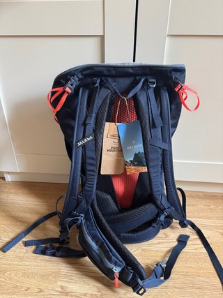 Mochila Salewa Alp Trainer 25L