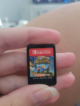Portal Knights Nintendo Switch Juego