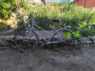Bicicleta Orbea Clásica Plata