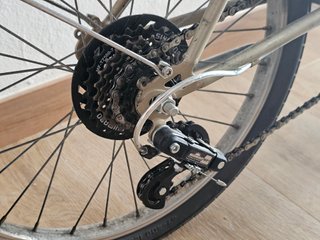 Bicicleta Plegable Capri VITA Champagne