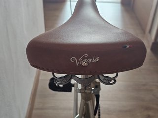 Bicicleta Plegable Capri VITA Champagne