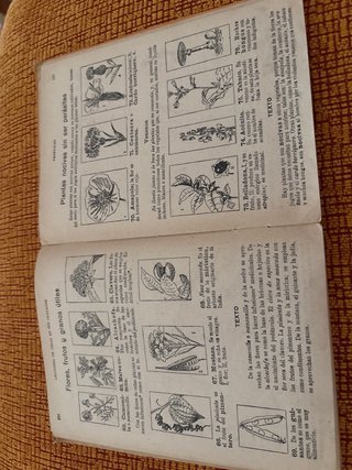 Libro antiguo lecciones de cosas