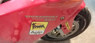 Ducati 600 SS Roja