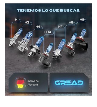 Bombillas H1 55W 12V Faros Delanteros