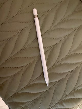 iPad Pro 12.9 1ª Gen Plata Wifi y cellular +pencil