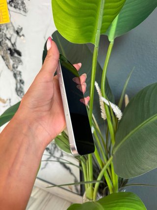 iPhone 16 Pro Plata