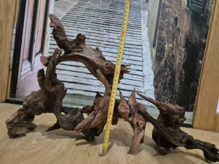 Raíces para acuario
