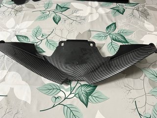 Carcasa Fibra Carbono Triumph Street Triple 765