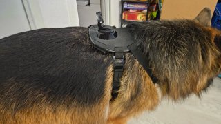 Arnés GoPro para Perros