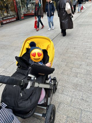 Carrito Bugaboo camaleon