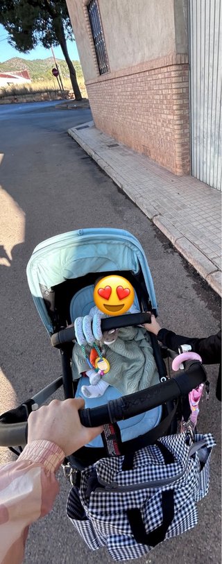 Carrito Bugaboo camaleon