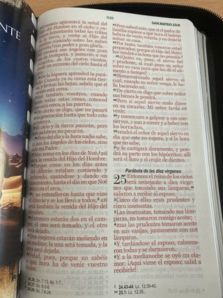 BIBLIA REINA VALERA 1960 HÉROES LETRA GRANDE IM...