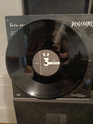 Desechables - Buen Ser-Vicio Vinilo