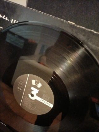 Desechables - Buen Ser-Vicio Vinilo