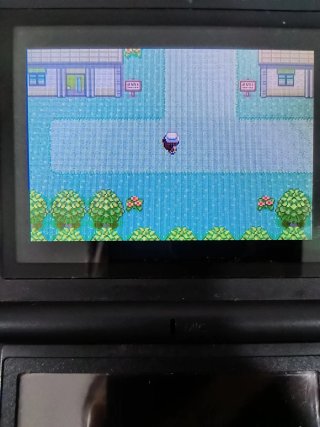 Pokémon RadicalRed GBA | Cartucho Nuevo (Esp/Ing)