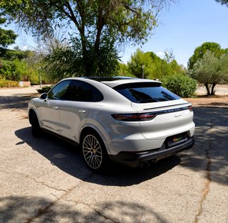PORSCHE CAYENNE E-HYBRID PLATINUM EDITION (2023)