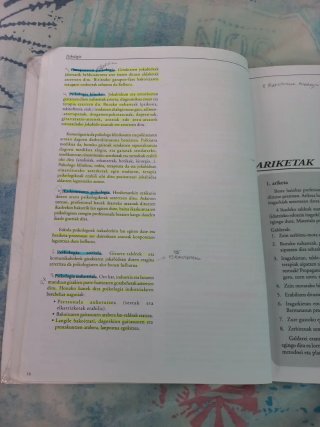 Psikologia DBHO, Batxilergoa
