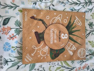 Libros de texto 3° Primaria