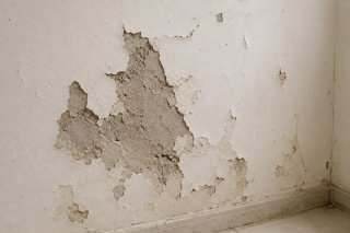 Reparaciones y Mantenimiento del Hogar