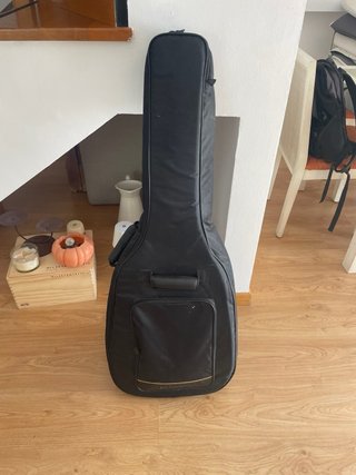 Guitarra acústica Ibañez
